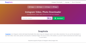 SnapInsta, Download Reel IG Tanpa Install Aplikasi Tambahan