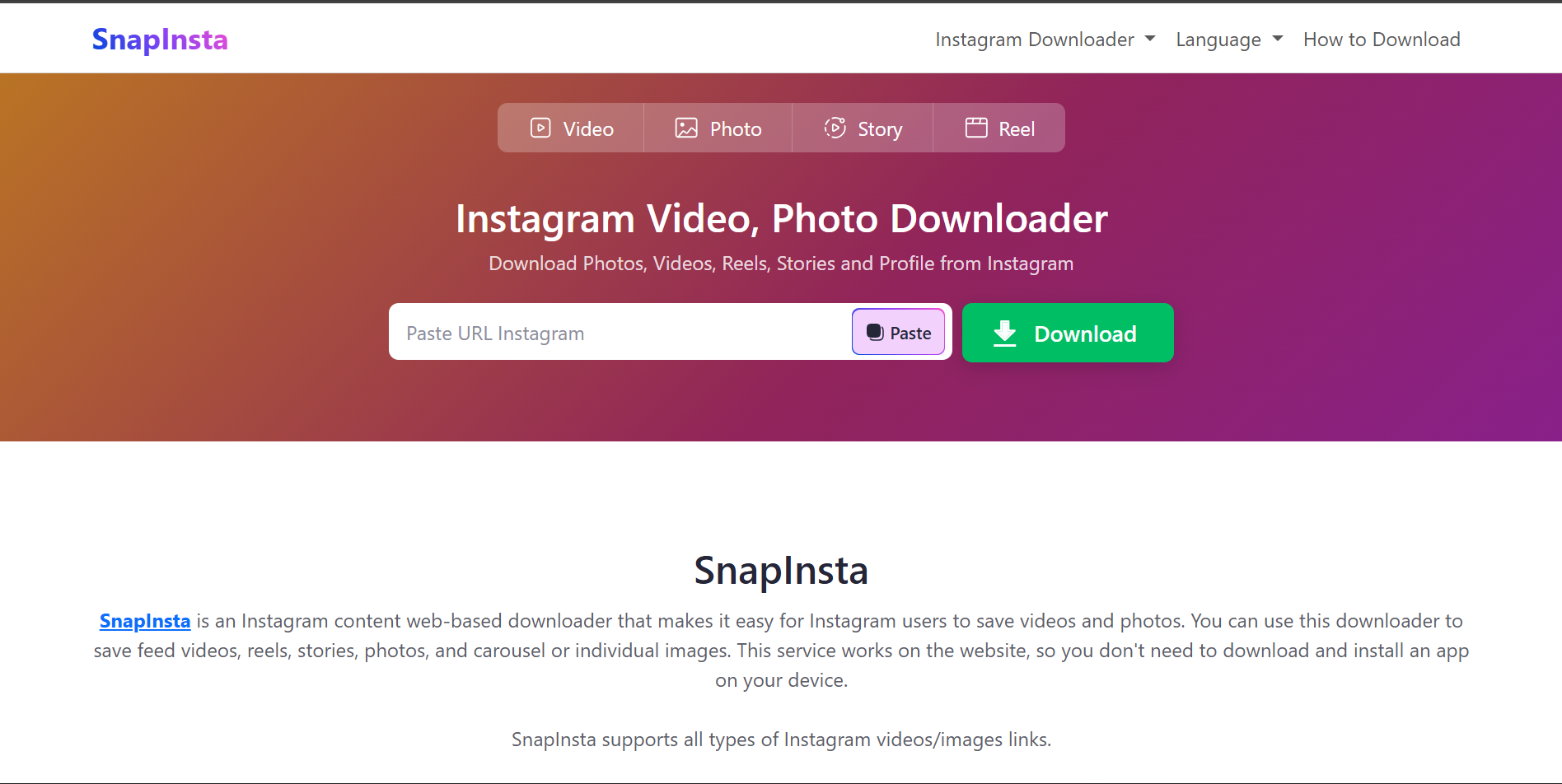 SnapInsta, Download Reel IG Tanpa Install Aplikasi Tambahan